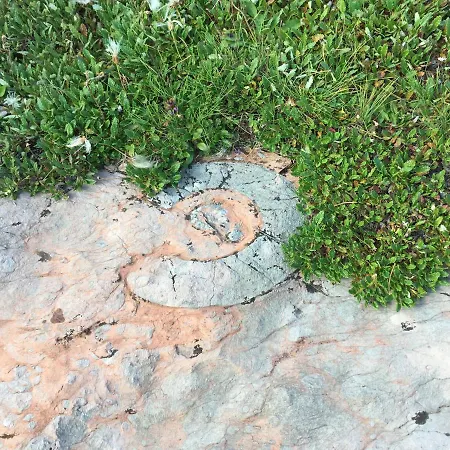 Haus Aperies * Pettneu am Arlberg