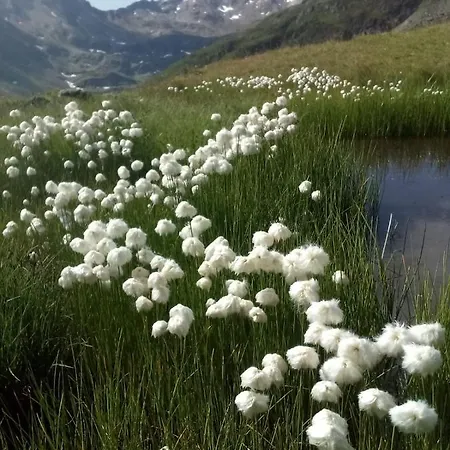 Apartment Haus Aperies Pettneu am Arlberg