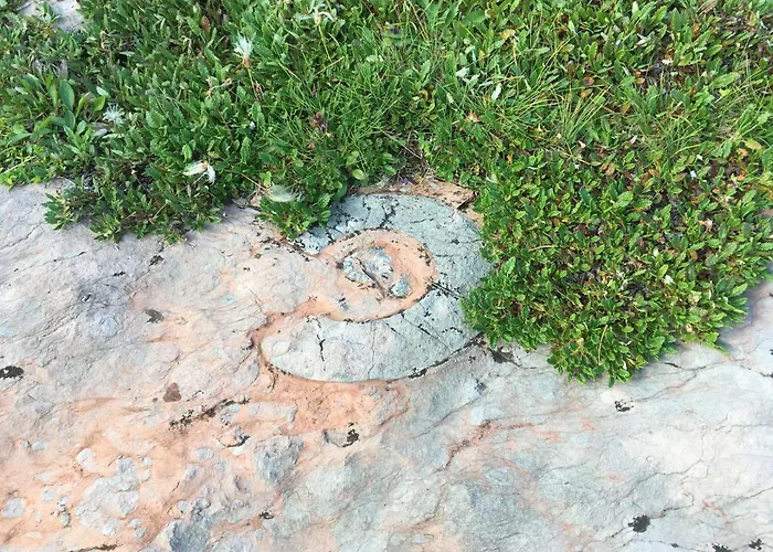 Haus Aperies * بيتنيو آم أرلبرغ