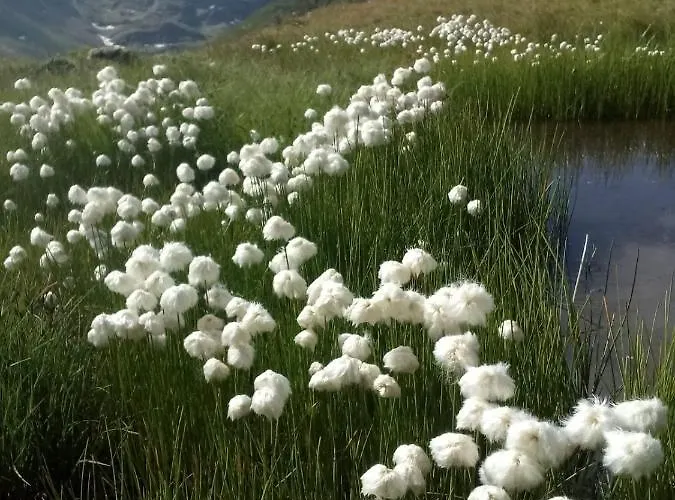 شقة Haus Aperies بيتنيو آم أرلبرغ